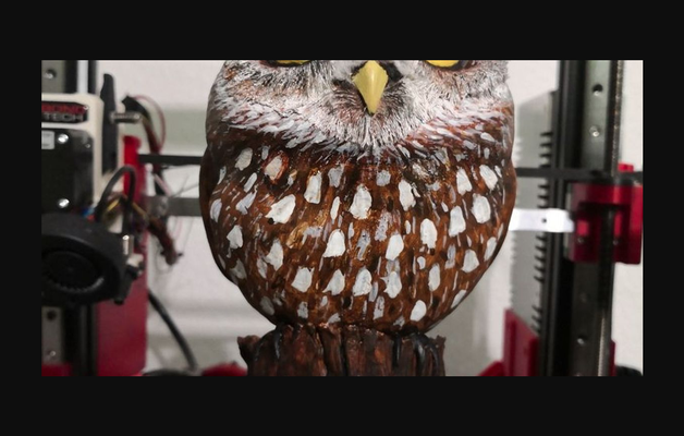 owl steinkauz by stwebster download free stl model printablescom 3d models world & scans animals bird figurine cute raptor 3d print model - Mito3D