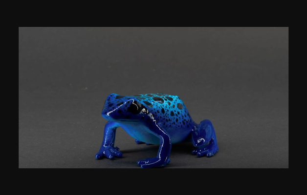 poison dart frog by stwebster download free stl model printablescom 3d models world & scans animals animal cute creature 3d print model - Mito3D