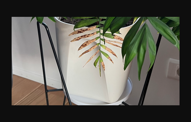 çiçek tencere tepsi by ara sıra ekstrüzyon uzmanı indir bedava stl model basılabilirler com 3d modeller ev halkı yaşayan oda indoorgarden 3d print model - Mito3D