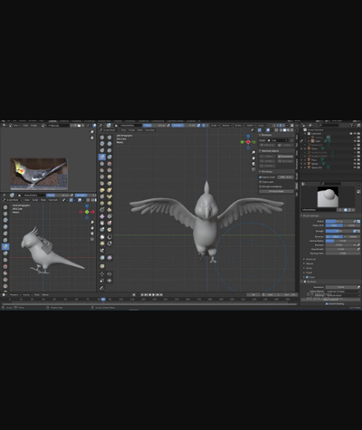 cama cockatiel by chiany studio scarica gratuito stl modello printables com 3d modelli mondo scansioni animali uccello sla 3d print model - Mito3D