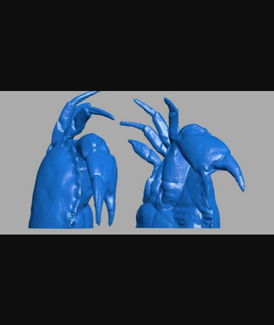 3d scan krabbe fisch by hören franky download frei stl modell druckbares modelle welt scannt tiere 3d print model - Mito3D
