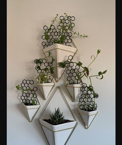 hexagonal planta maceta conducción by rathus descargar gratis stl modelo imprimibles com 3d modelos casa aire libre jardín hexágono enrejado 3d print model - Mito3D