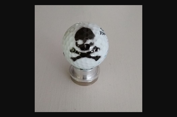 pirat ball marker by clontz download frei stl modell druckbares 3d modelle sport draussen golf jollyroger 3d print model - Mito3D