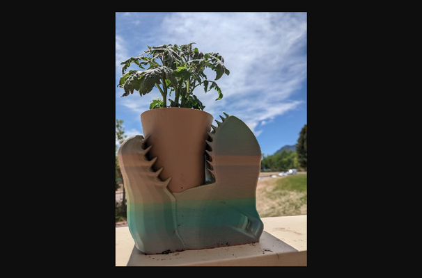 t-rex decorative planter by deinfinityx download free stl model printablescom 3d models household outdoor & garden plant dinosaur trex gardening 3d print model - Mito3D