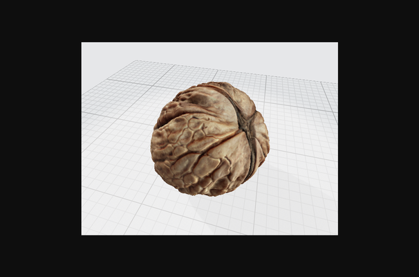 walnut 3d scan by docmike download free stl model printablescom models household outdoor & garden 3d print model - Mito3D