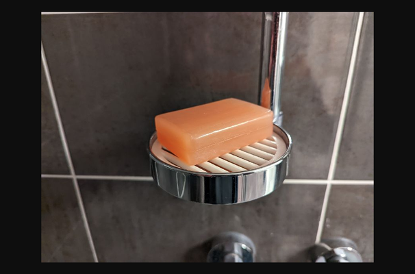shower soap dish - no slimy by a porcupine download free stl model printablescom 3d models household bathroom soapdish soaptray soapbars 3d print model - Mito3D