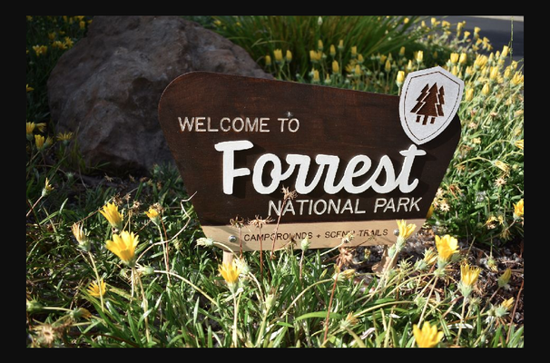 forrest nacional parque placa by chardane baixar livre stl modelo printables 3d modelos arte projeto 2d pratos logotipos ar 3d print model - Mito3D