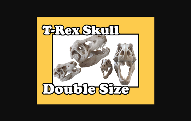 t-rex skull double size by iqless download free stl model printablescom 3d models learning objects trex 3d print model - Mito3D