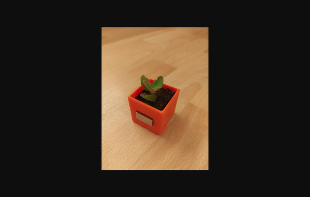 frigo magnete mini succulenta pentola by repoholy scarica gratuito stl modello printables com 3d modelli domestico cucina scatola pianta fioriera 3d print model - Mito3D