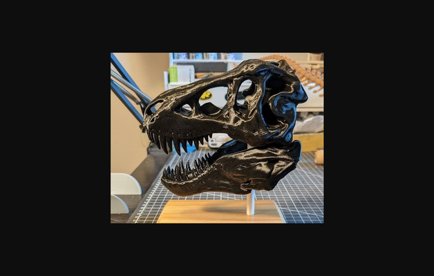 t-rex skull jaw by craig download free stl model printablescom 3d models world & scans animals dinosaur trex tyrannosaurus thingiverse 3d print model - Mito3D