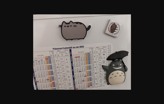 plascheen versteckt kühlschrank magnet by petr schonmann download frei stl modell druckbares 3d modelle haushalt zuhause haus dekor pusheen kühlschrankmagnet kühlschrankmagnete 3d print model - Mito3D