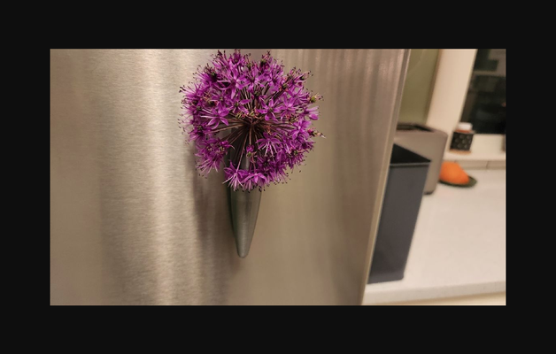 frigo aimant fleur vase by dimplykitten824 télécharger libre stl modèle imprimables com 3d modèles ménage cuisine fleurs bouteilles vin réfrigérateur 3d print model - Mito3D