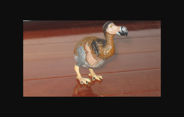 dodo kuş by isitapier indir bedava stl model basılabilirler com 3d modeller dünya taramalar hayvanlar hayvan heykel sandık soyu tükenmiş 3d print model - Mito3D