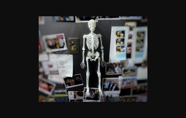 skeleton refrigerator magnet by e-leton download free stl model printablescom 3d models household kitchen human magnetic bones 3d print model - Mito3D