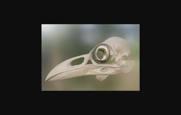 raven skull mask by dragonartist15 download free stl model printablescom 3d models costumes & accessories cosplay in general halloween costume 3d print model - Mito3D