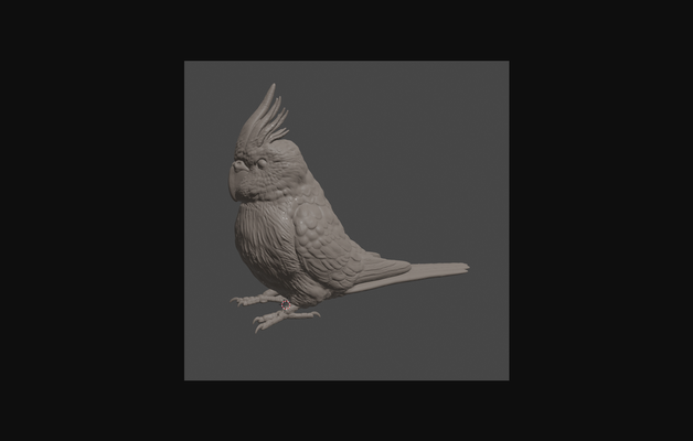 séance cockatiel by dragonartist15 télécharger libre stl modèle imprimables com 3d modèles monde scans animaux oiseau animal zbrush sculpture 3d print model - Mito3D