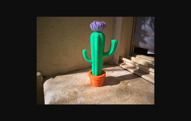 coloré cactus fleur by juliapixel télécharger libre stl modèle imprimables com 3d modèles ménage accueil maison décor multicolore plante art multipart 3d print model - Mito3D