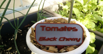 Tomates negro Cereza panneau sky99 descargar gratis stl modelo imprimiblescom 3d modelos casa aire libre jardín planta maceta 3d print model - Mito3D