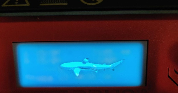 tiburón litofano pantalla cubierta carcasa funda hosadeacam descargar gratis stl modelo imprimiblescom 3d modelos impresoras accesorios 3d print model - Mito3D