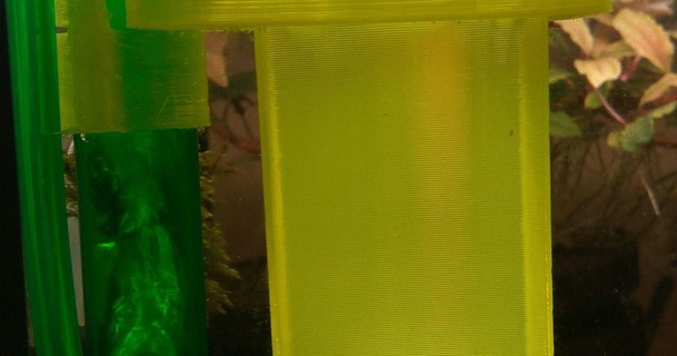 acuario camarón pequeña agua criaturas receptor oopsitsaflame descargar gratis stl modelo imprimiblescom 3d modelos casa mascotas cría camarones 3d print model - Mito3D