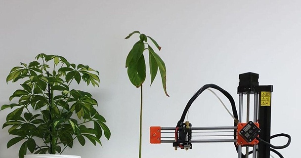 donné twin twisted pot planteur Stefan Nicolas Télécharger libre stl modèle imprimablescom 3d modèles Ménage décor fleurs 3d print model - Mito3D