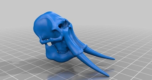 elefante cranio mtb3d Scarica gratuito stl modello printablescom 3d Modelli mondo scansioni animali arte design 3d print model - Mito3D