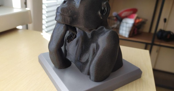 scimpanzé pensatore gzeus Scarica gratuito stl modello printablescom 3d Modelli arte design sculture scimmia scolpire scultura 3d print model - Mito3D