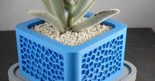 voronoi planter tango creations download free stl model printablescom 3d models household outdoor & garden cactus cactusplanter cactuspot deskplanter indoorplanter 3d print model - Mito3D