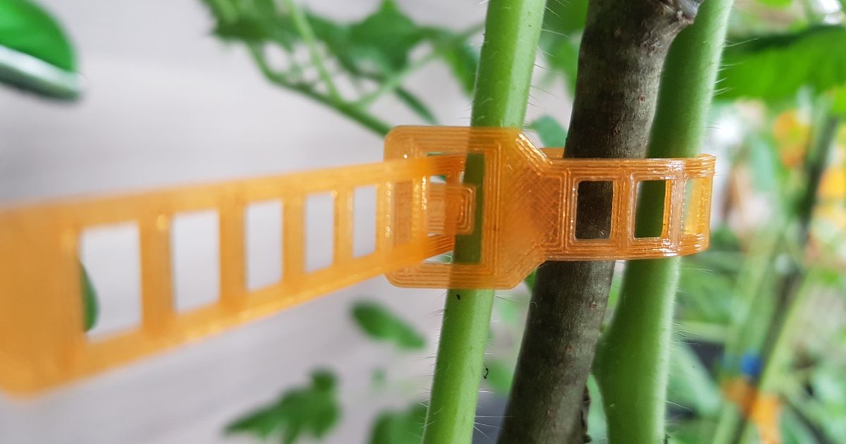 pianta supporto cinghia pla ttgeek Scarica gratuito stl modello printablescom 3d Modelli domestico all'aperto giardino planttrap 3D print model - Mito3D