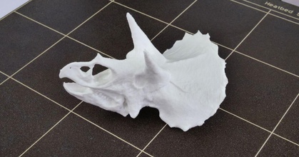 Triceratops baş destekler Prusa indir Bedava stl model printablescom 3d modeller dünya taramalar hayvanlar Dinozor dino 3d print model - Mito3D
