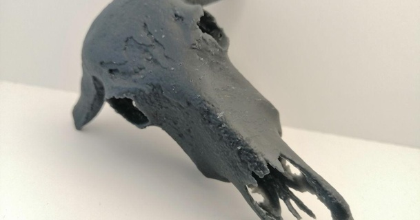 búfalo crânio Malta baixar livre stl modelo printablescom 3d modelos arte Projeto esculturas animalskull sla Marinho 3d print model - Mito3D