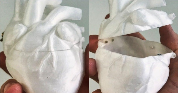 corazón conformado caja danowall descargar gratis stl modelo imprimiblescom 3d modelos aprendizaje química biología anatómico anatomía aorta sangre 3d print model - Mito3D