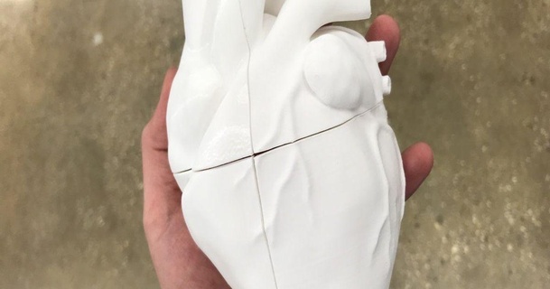 animatronico cuore danowall Scarica gratuito stl modello printablescom 3d Modelli apprendimento oggetti anatomia battito cardiaco 3d print model - Mito3D