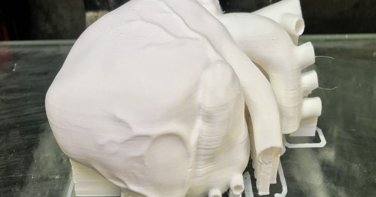 capacidade pulsante coração danowall baixar livre stl modelo printablescom 3d modelos Aprendendo química biologia anatômico anatomicamente correto anatômicos caixa 3D print model - Mito3D