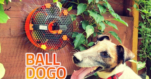 balldogo tennis balles organisateur basé prusament bobine kamil caleta Télécharger libre stl modèle imprimablescom 3d modèles loisir fabricants organisateurs concours chien chiens petg 3d print model - Mito3D
