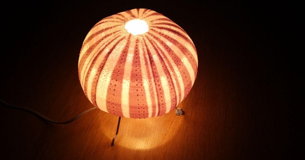 sea urchin light edditive download free stl model printablescom 3d models household decor lamp lampshade lightshade shell 3d print model - Mito3D