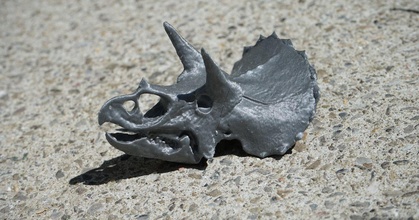 triceratopo cranio Zeus 0815 Scarica gratuito stl modello printablescom 3d Modelli mondo scansioni storico contesto dinosauro 3d print model - Mito3D