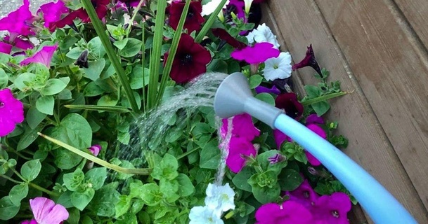 watering nozzle - slip-on adapter tl download free stl model printablescom 3d models household outdoor & garden gardening spout wateringcan 3d print model - Mito3D
