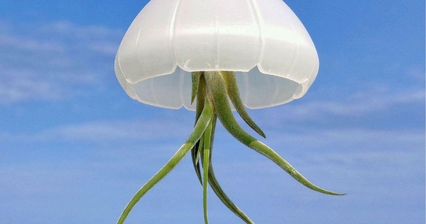 Medusa aire planta maceta soporte sapo descargar gratis stl modelo imprimiblescom 3d modelos casa libre jardín aeroplanos lindo divertido jardinera colgante 3d print model - Mito3D