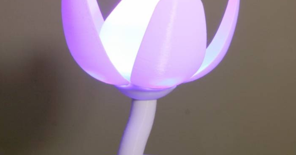 épanouissement fleur lampe fissure Télécharger libre stl modèle imprimablescom 3d modèles Ménage décor lumière éclairage 3d print model - Mito3D