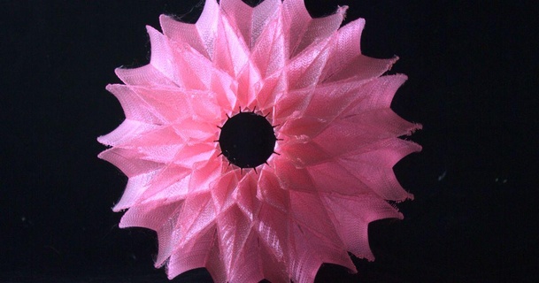 rose eucalypt laissez tomber lumière écritures Télécharger libre stl modèle imprimablescom 3d modèles Ménage décor fleur lampe pendentif 3d print model - Mito3D