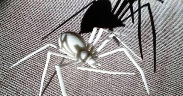 terrifiant Halloween araignées tête pensante Télécharger libre stl modèle imprimablescom 3d modèles monde scans animaux animal nature openscad paramétrique 3d print model - Mito3D