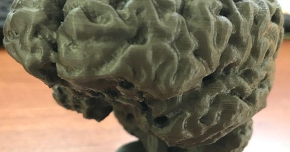 cervello granchio croccante Scarica gratuito stl modello printablescom 3d Modelli arte design sculture corpo umano cranio 3d print model - Mito3D