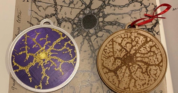 cajal neurosciences vacances ornements Robert Télécharger libre stl modèle imprimablescom 3d modèles saisonnier dessins hiver Noël années astrocyte biologie cerveau 3d print model - Mito3D