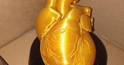 golden heart dr valchanov download free stl model printablescom 3d models art & design sculptures anatomical anatomy 3d print model - Mito3D