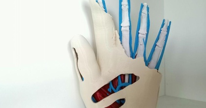 anatomic mão multi material Malta baixar livre stl modelo printablescom 3d modelos arte Projeto esculturas anatômico anatomia mmu músculo 3d print model - Mito3D