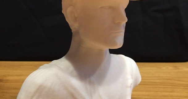 Terence Tepe büst destek kesmek mühendis indir Bedava stl model printablescom 3d modeller Sanat tasarım heykeller filapin yeniden düzenleme üçlü 3d print model - Mito3D