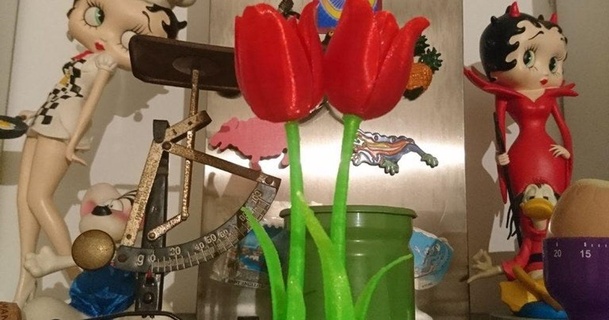 magnetico tulipano aame Scarica gratuito stl modello printablescom 3d Modelli arte design disegni 3d print model - Mito3D