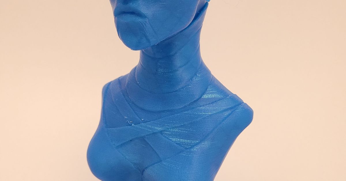 star savaşlar Asajj cesaret büst bilgi indir Bedava stl model printablescom 3d modeller Sanat tasarım heykeller klon 3D print model - Mito3D