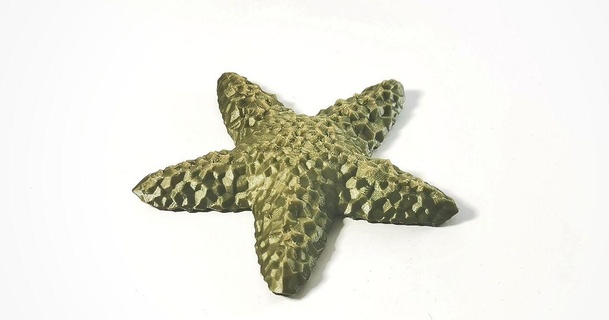 pyrite starfish ncsandor download free stl model printablescom 3d models toys & games toy pyritestarfish 3d print model - Mito3D
